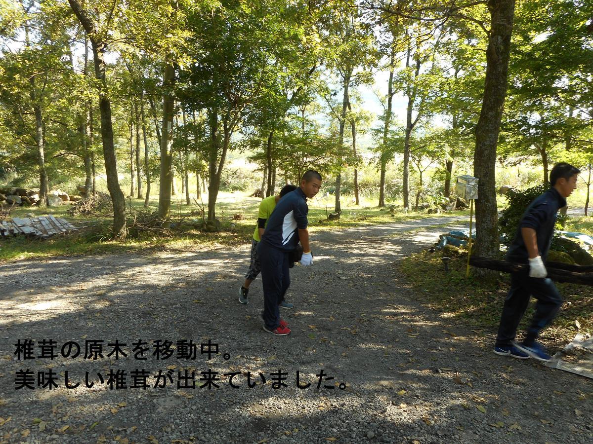 Itsubinosato Guest House Yufu Exterior photo
